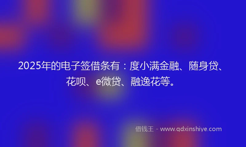 2025年的电子签借条有：度小满金融、随身贷、花呗、e微贷、融逸花等。