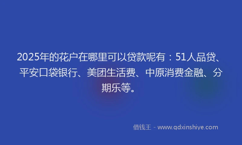 2025年的花户在哪里可以贷款呢有：51人品贷、平安口袋银行、美团生活费、中原消费金融、分期乐等。