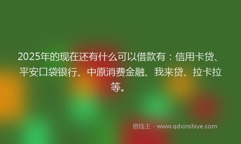2025年的现在还有什么可以借款有：信用卡贷、平安口袋银行、中原消费金融、我来贷、拉卡拉等。