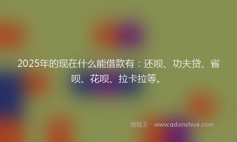 2025年的现在什么能借款有：还呗、功夫贷、省呗、花呗、拉卡拉等。