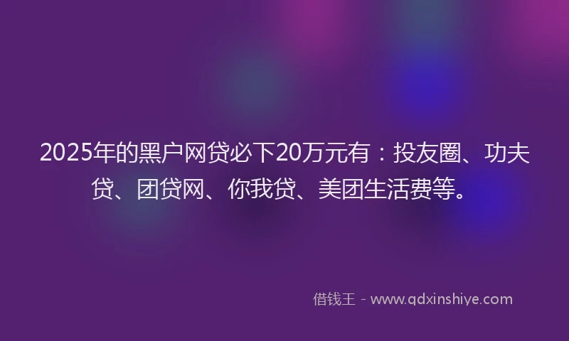2025年的黑户网贷必下20万元有：投友圈、功夫贷、团贷网、你我贷、美团生活费等。