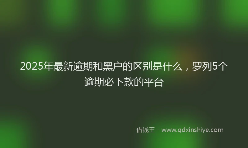 2025年最新逾期和黑户的区别是什么，罗列5个逾期必下款的平台