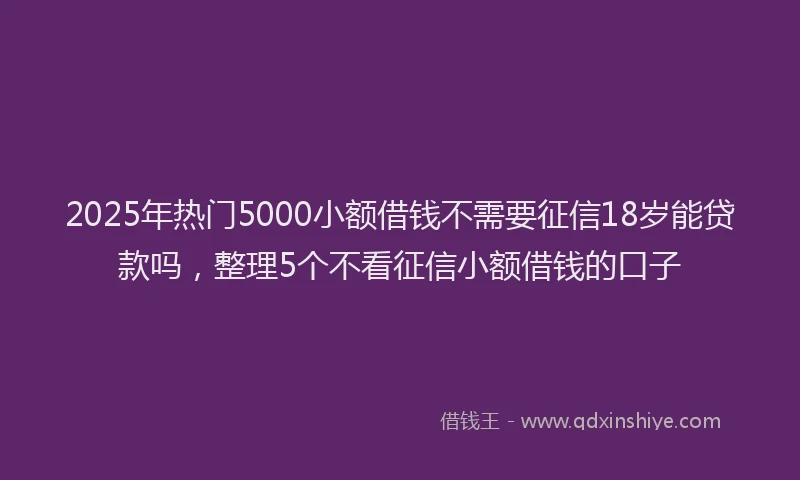 2025年热门5000小额借钱不需要征信18岁能贷款吗，整理5个不看征信小额借钱的口子