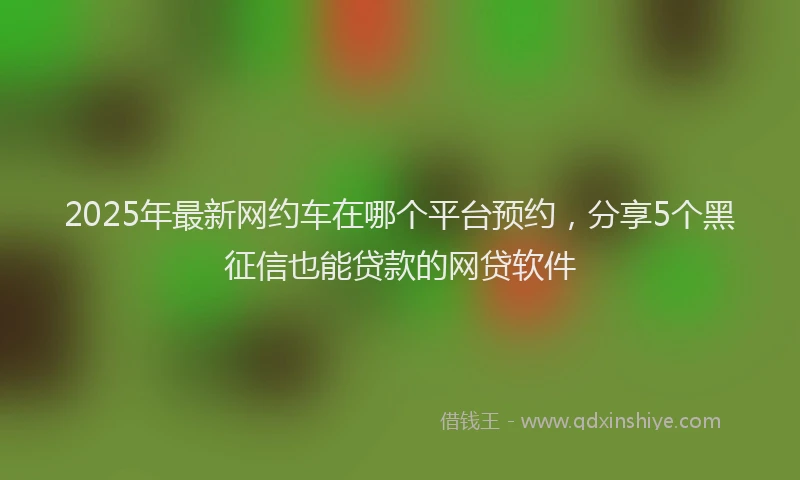 2025年最新网约车在哪个平台预约，分享5个黑征信也能贷款的网贷软件