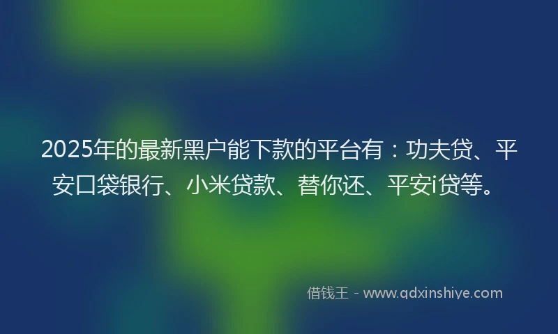 2025年的最新黑户能下款的平台有：功夫贷、平安口袋银行、小米贷款、替你还、平安i贷等。