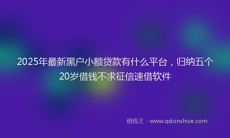2025年最新黑户小额贷款有什么平台，归纳五个20岁借钱不求征信速借软件