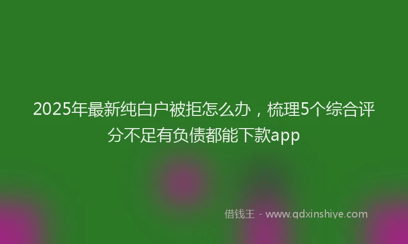 2025年最新纯白户被拒怎么办，梳理5个综合评分不足有负债都能下款app
