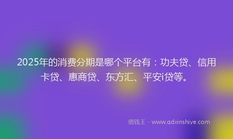 2025年的消费分期是哪个平台有：功夫贷、信用卡贷、惠商贷、东方汇、平安i贷等。