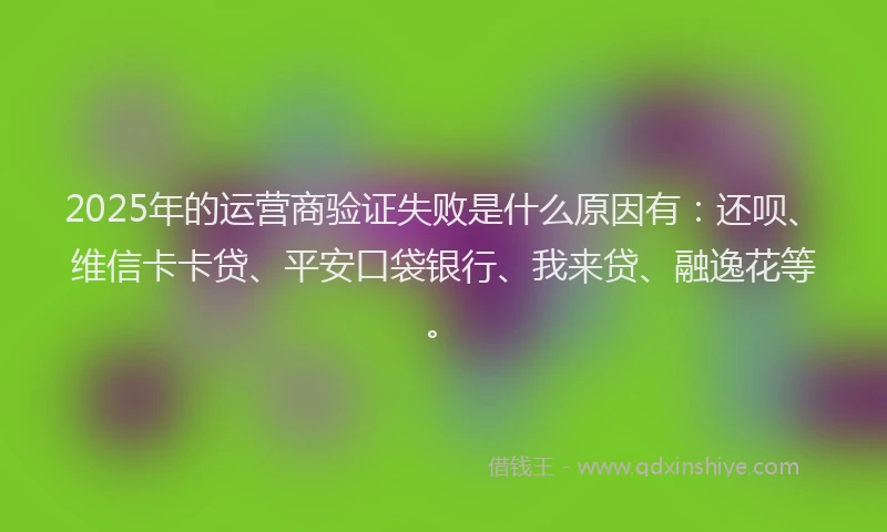 2025年的运营商验证失败是什么原因有：还呗、维信卡卡贷、平安口袋银行、我来贷、融逸花等。