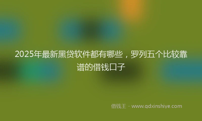 2025年最新黑贷软件都有哪些，罗列五个比较靠谱的借钱口子