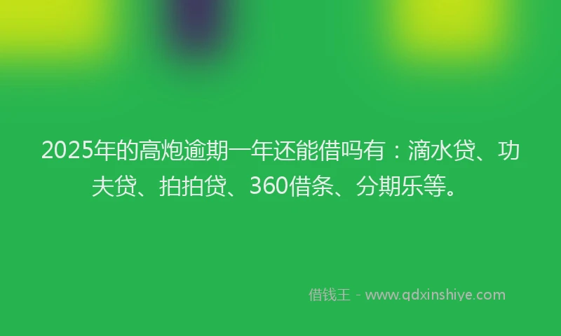 2025年的高炮逾期一年还能借吗有：滴水贷、功夫贷、拍拍贷、360借条、分期乐等。