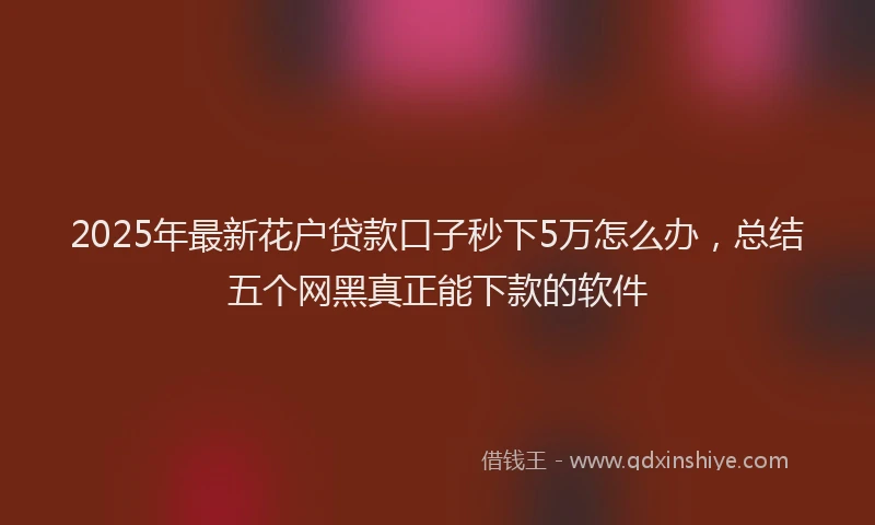 2025年最新花户贷款口子秒下5万怎么办，总结五个网黑真正能下款的软件