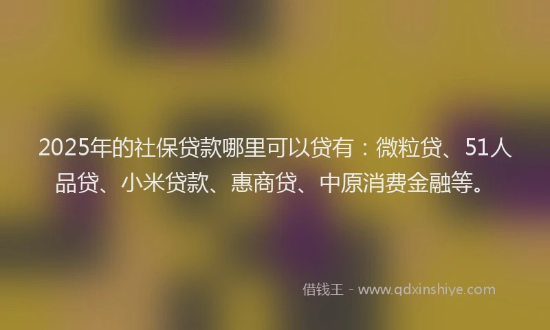 2025年的社保贷款哪里可以贷有：微粒贷、51人品贷、小米贷款、惠商贷、中原消费金融等。