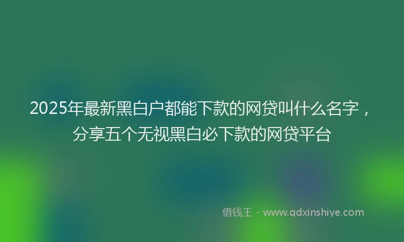 2025年最新黑白户都能下款的网贷叫什么名字，分享五个无视黑白必下款的网贷平台