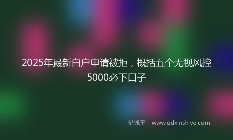 2025年最新白户申请被拒，概括五个无视风控5000必下口子
