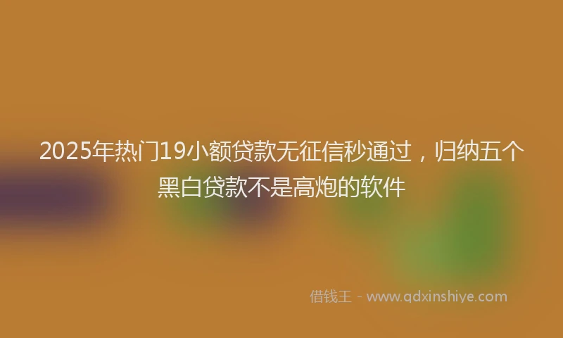 2025年热门19小额贷款无征信秒通过，归纳五个黑白贷款不是高炮的软件