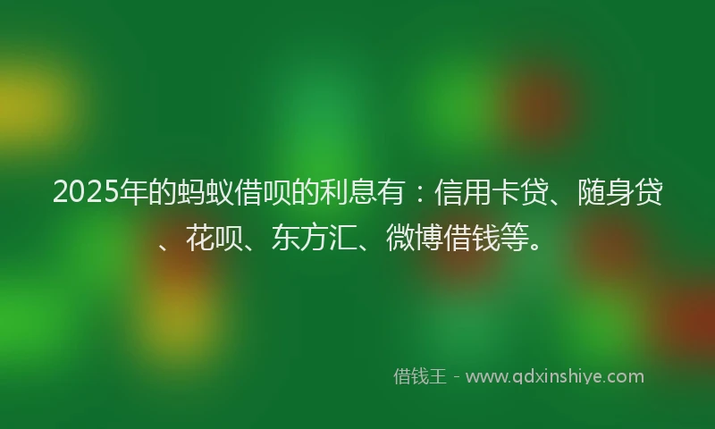 2025年的蚂蚁借呗的利息有：信用卡贷、随身贷、花呗、东方汇、微博借钱等。