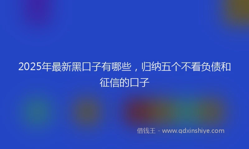 2025年最新黑口子有哪些，归纳五个不看负债和征信的口子