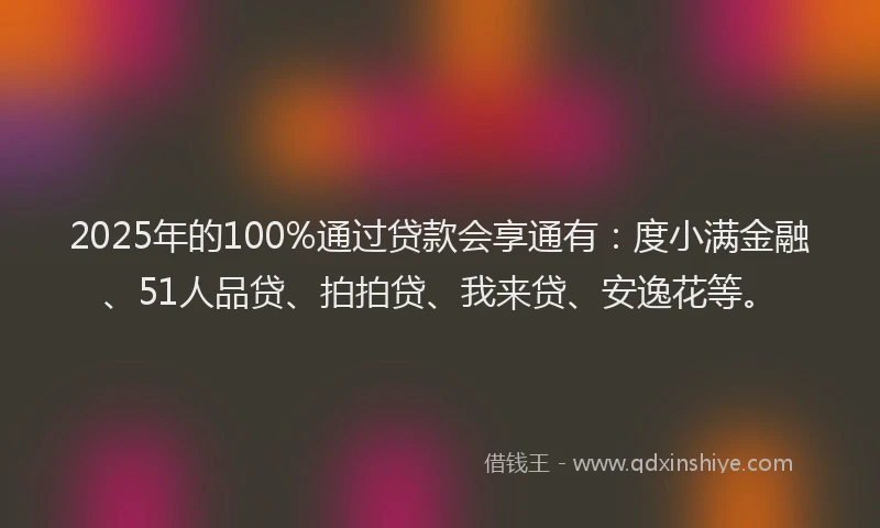 2025年的100%通过贷款会享通有：度小满金融、51人品贷、拍拍贷、我来贷、安逸花等。