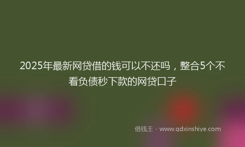 2025年最新网贷借的钱可以不还吗，整合5个不看负债秒下款的网贷口子