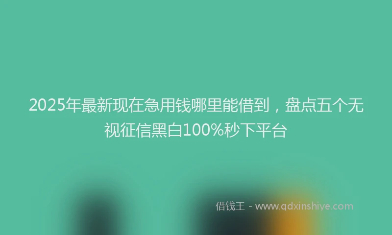 2025年最新现在急用钱哪里能借到，盘点五个无视征信黑白100%秒下平台