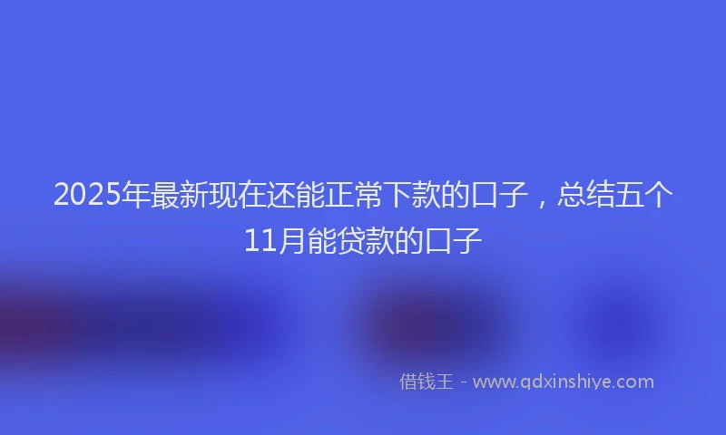 2025年最新现在还能正常下款的口子，总结五个11月能贷款的口子