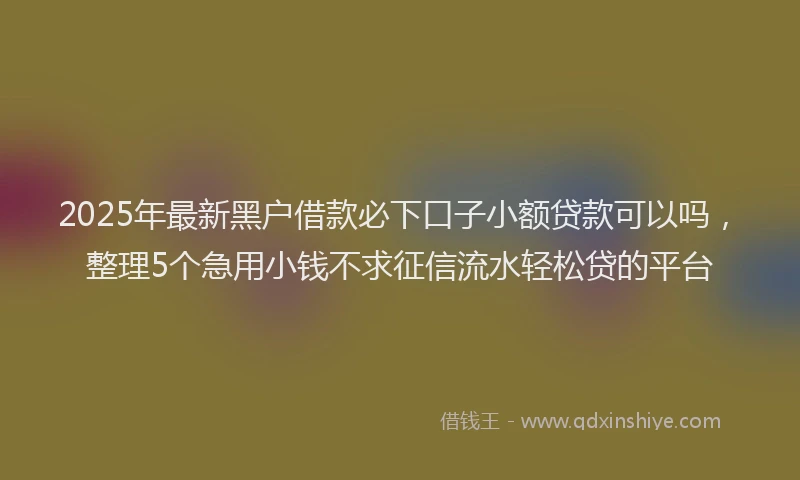 2025年最新黑户借款必下口子小额贷款可以吗，整理5个急用小钱不求征信流水轻松贷的平台