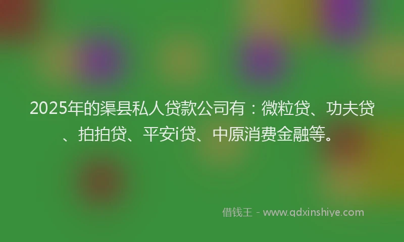 2025年的渠县私人贷款公司有：微粒贷、功夫贷、拍拍贷、平安i贷、中原消费金融等。