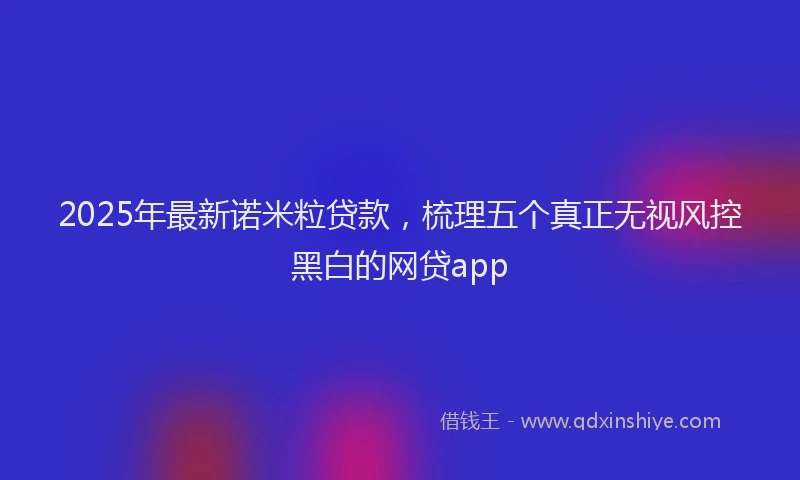 2025年最新诺米粒贷款，梳理五个真正无视风控黑白的网贷app