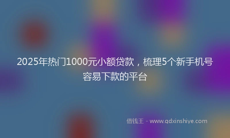 2025年热门1000元小额贷款，梳理5个新手机号容易下款的平台
