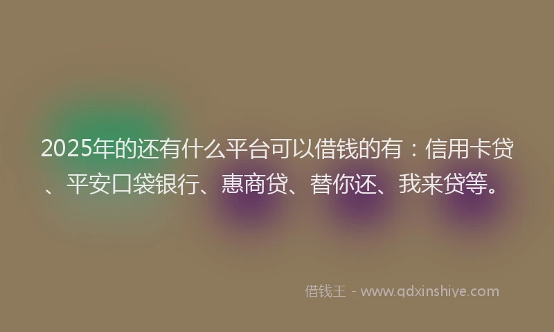 2025年的还有什么平台可以借钱的有：信用卡贷、平安口袋银行、惠商贷、替你还、我来贷等。