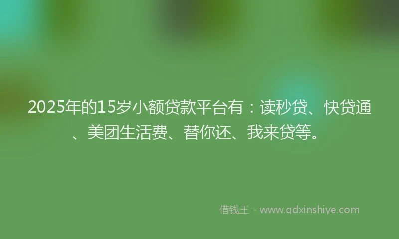 2025年的15岁小额贷款平台有：读秒贷、快贷通、美团生活费、替你还、我来贷等。