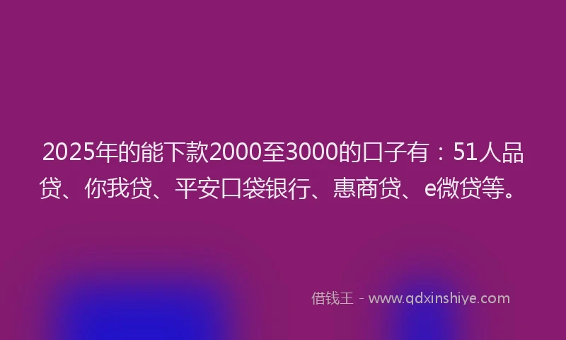 2025年的能下款2000至3000的口子有：51人品贷、你我贷、平安口袋银行、惠商贷、e微贷等。