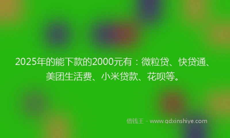 2025年的能下款的2000元有：微粒贷、快贷通、美团生活费、小米贷款、花呗等。