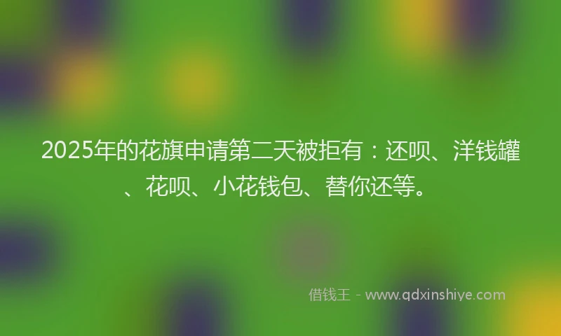 2025年的花旗申请第二天被拒有：还呗、洋钱罐、花呗、小花钱包、替你还等。
