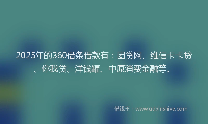 2025年的360借条借款有：团贷网、维信卡卡贷、你我贷、洋钱罐、中原消费金融等。