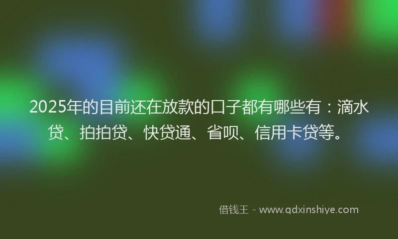 2025年的目前还在放款的口子都有哪些有：滴水贷、拍拍贷、快贷通、省呗、信用卡贷等。