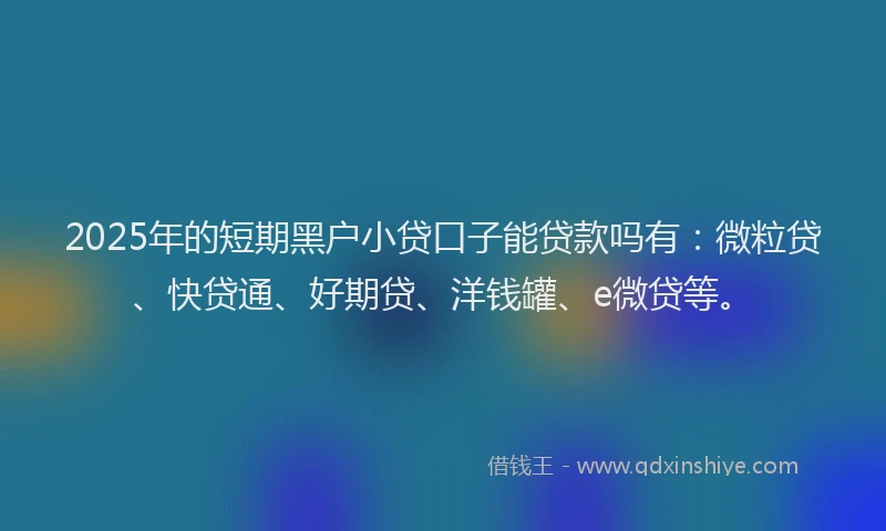 2025年的短期黑户小贷口子能贷款吗有：微粒贷、快贷通、好期贷、洋钱罐、e微贷等。
