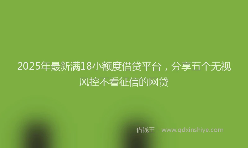 2025年最新满18小额度借贷平台，分享五个无视风控不看征信的网贷