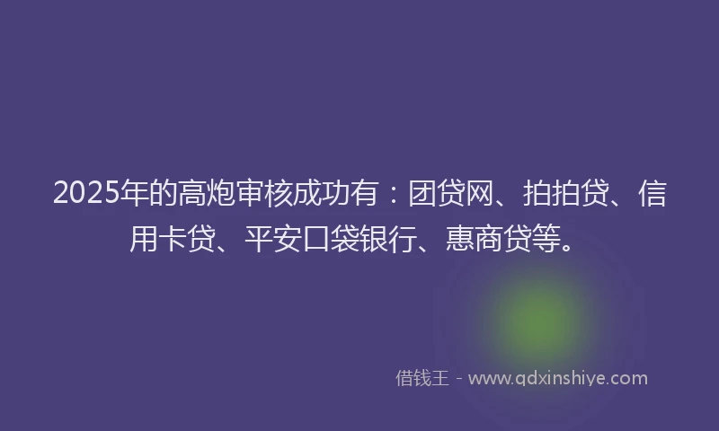 2025年的高炮审核成功有：团贷网、拍拍贷、信用卡贷、平安口袋银行、惠商贷等。