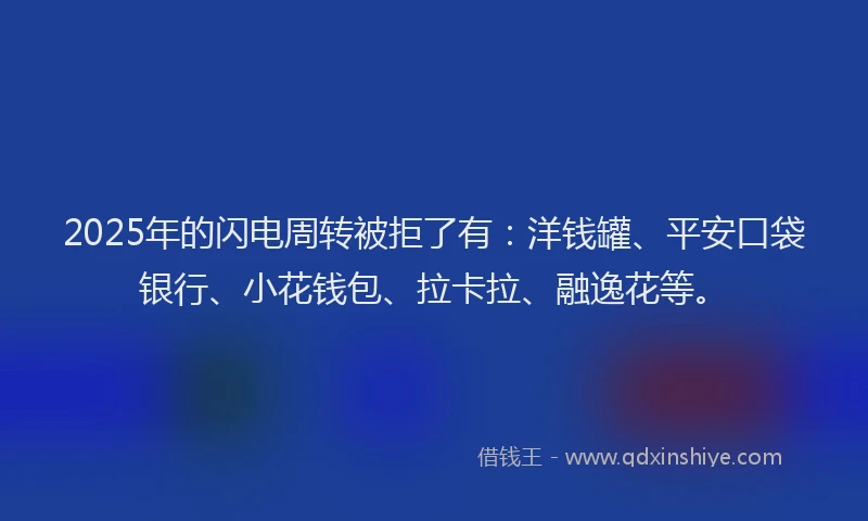 2025年的闪电周转被拒了有：洋钱罐、平安口袋银行、小花钱包、拉卡拉、融逸花等。
