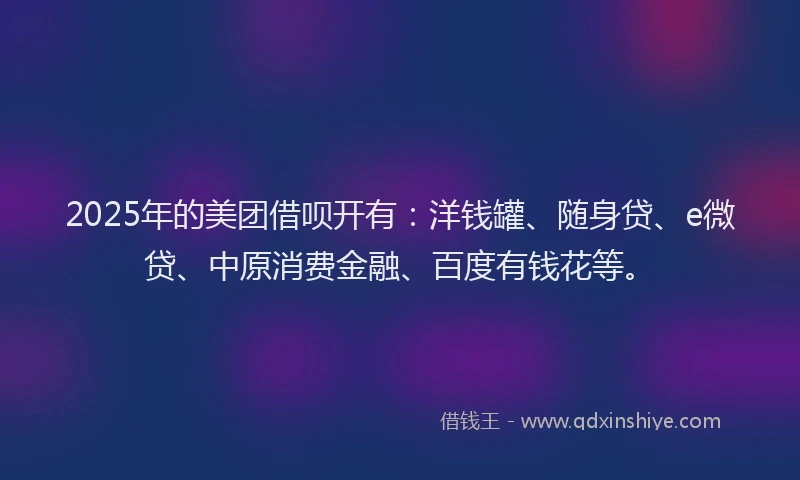 2025年的美团借呗开有：洋钱罐、随身贷、e微贷、中原消费金融、百度有钱花等。