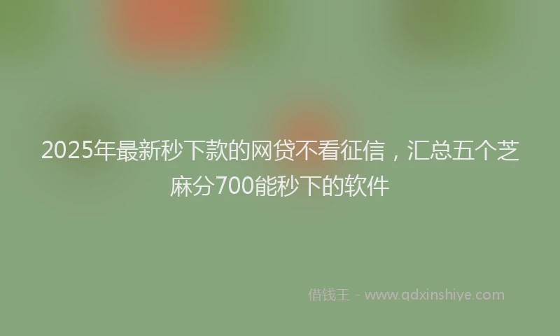2025年最新秒下款的网贷不看征信，汇总五个芝麻分700能秒下的软件