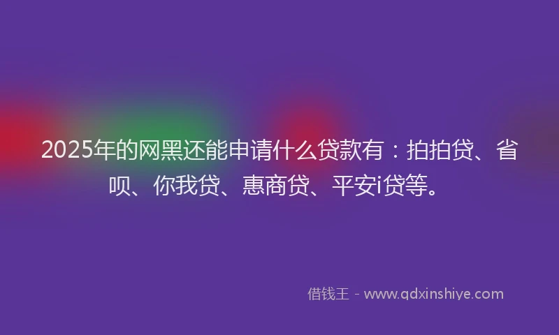 2025年的网黑还能申请什么贷款有：拍拍贷、省呗、你我贷、惠商贷、平安i贷等。