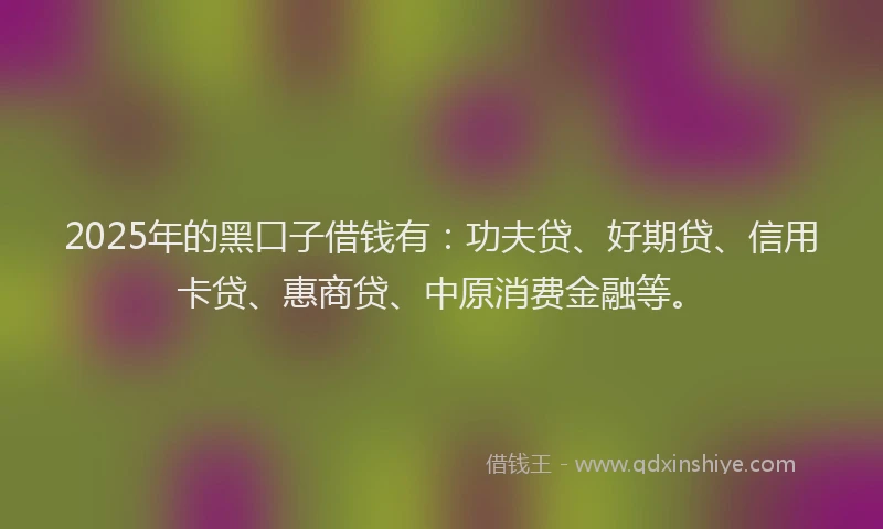 2025年的黑口子借钱有：功夫贷、好期贷、信用卡贷、惠商贷、中原消费金融等。
