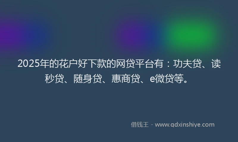 2025年的花户好下款的网贷平台有：功夫贷、读秒贷、随身贷、惠商贷、e微贷等。