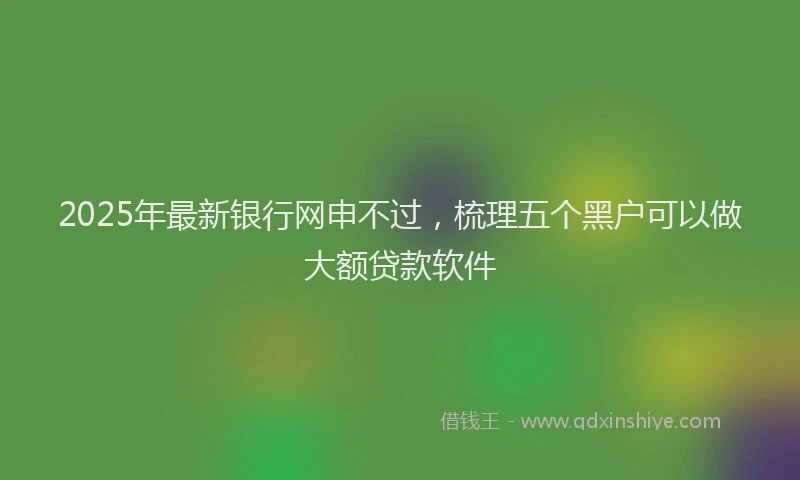 2025年最新银行网申不过，梳理五个黑户可以做大额贷款软件