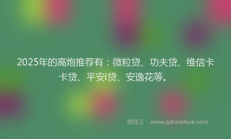 2025年的高炮推荐有：微粒贷、功夫贷、维信卡卡贷、平安i贷、安逸花等。