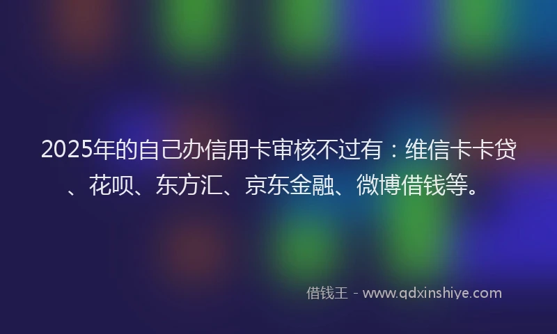 2025年的自己办信用卡审核不过有：维信卡卡贷、花呗、东方汇、京东金融、微博借钱等。
