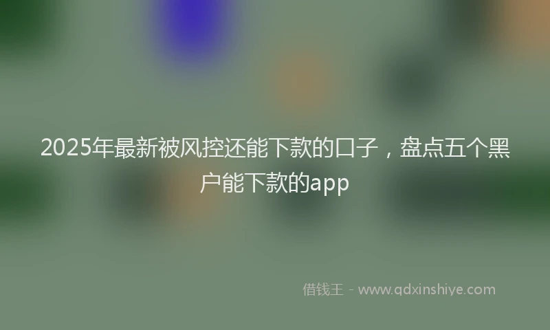 2025年最新被风控还能下款的口子，盘点五个黑户能下款的app